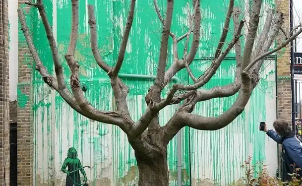 Tree with Green Paint