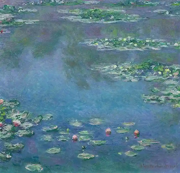 Seerosen