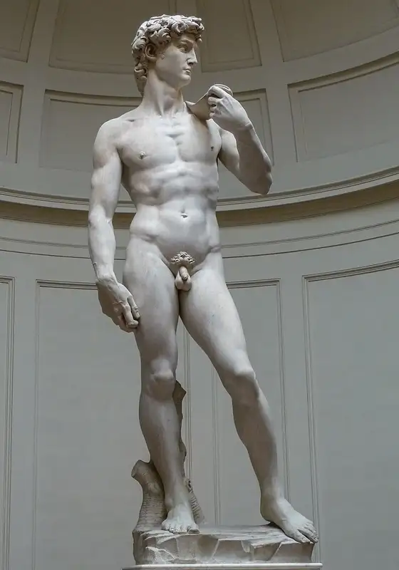 David